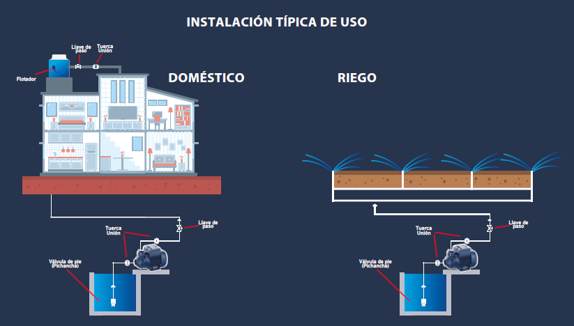 Bomba Periférica Pedrollo 0.5 HP — Económica, Durable y Eficiente